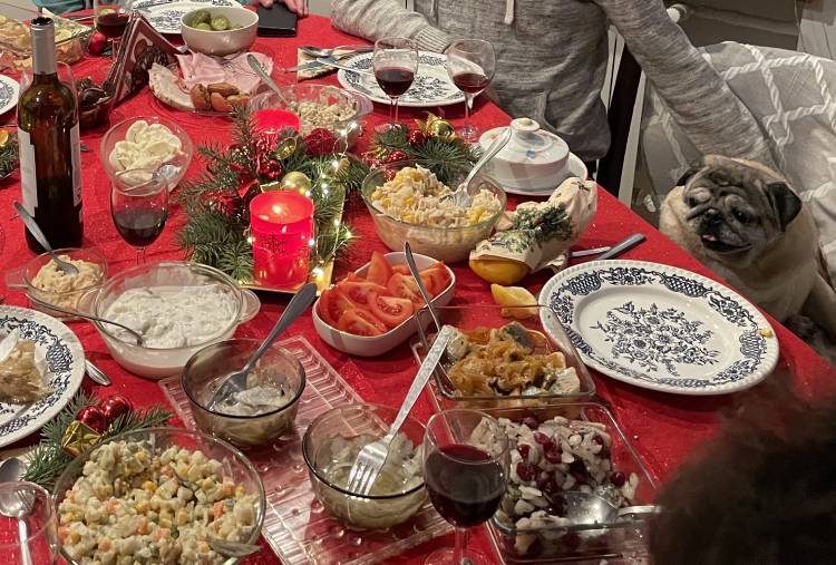 mopsy mopsiki Zazie KUmok Miszur Czuczu