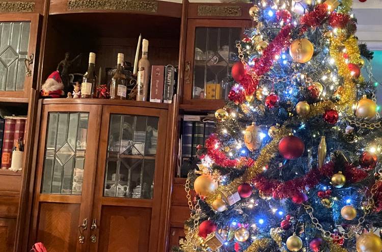 mopsy mopsiki Zazie KUmok Miszur Czuczu