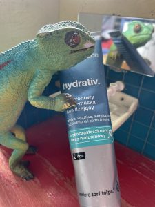 skład i opinie TOŁPA Hydrativ Hialuronowy krem-maska nawilżający – na noc