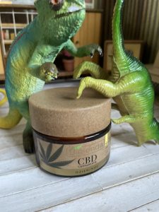 skład i opinie BIELENDA CBD nawilżająco-detoksykujący krem do twarzy