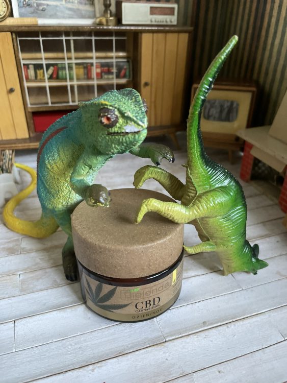 skład i opinie BIELENDA CBD nawilżająco-detoksykujący krem do twarzy