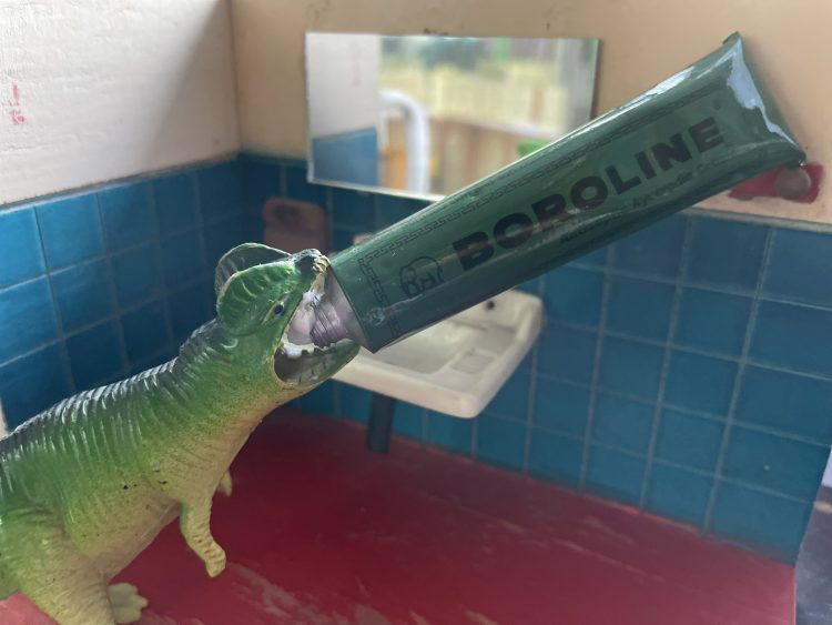 skład i opinie BOROLINE Antyseptyczny krem ajurwedyjski