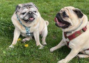 wiosenne piknikowanie na trawce