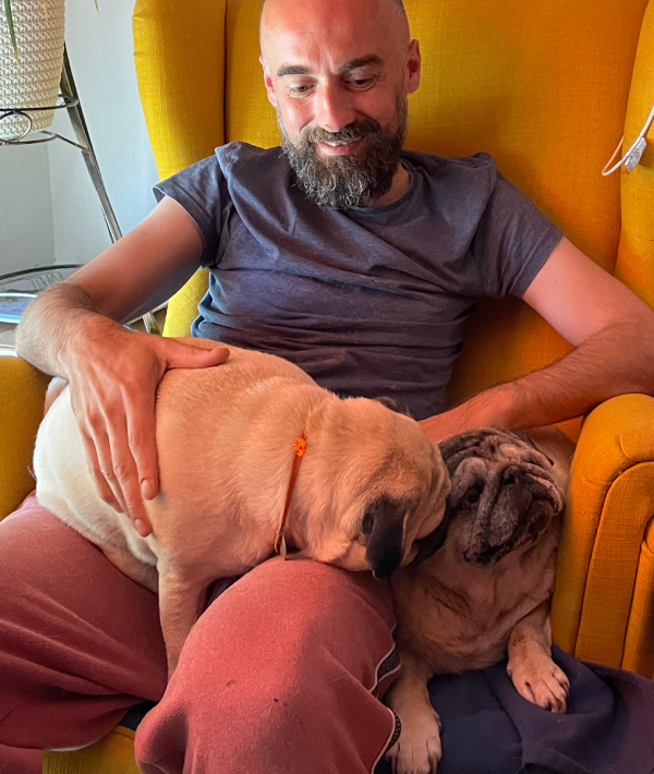 Miś Miszur Miszurek mops mopsik