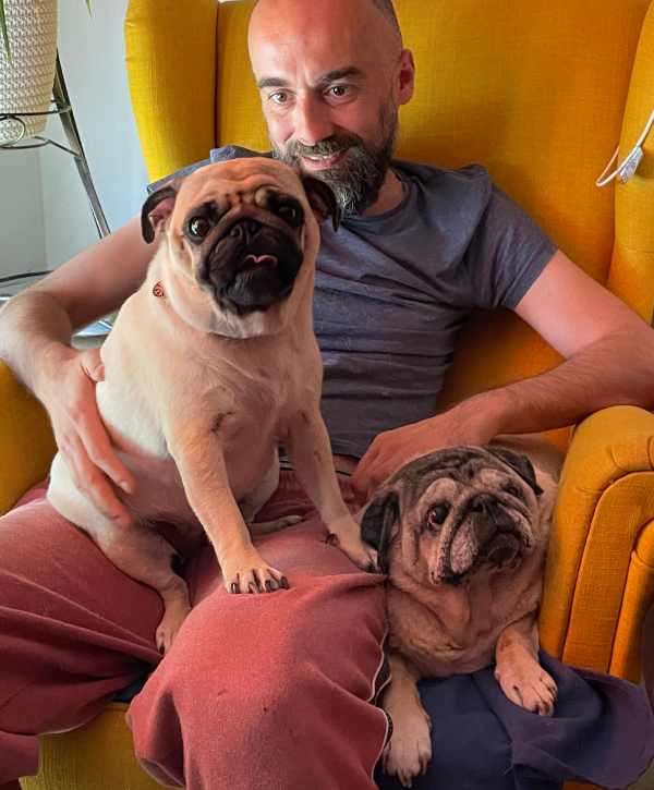 Miś Miszur Miszurek mops mopsik