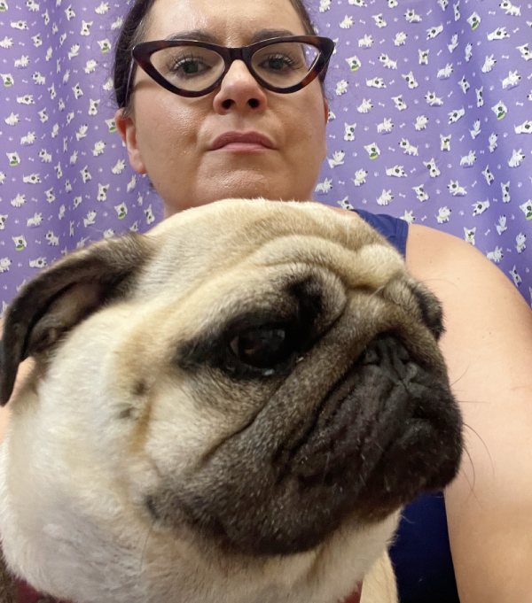 Małe Czuczu mops mopsik Zazie