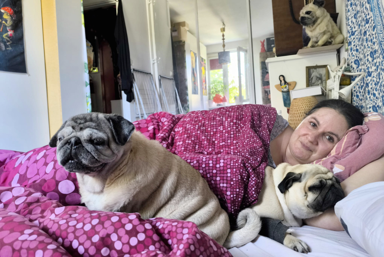 Małe Czuczu mops mopsik Zazie