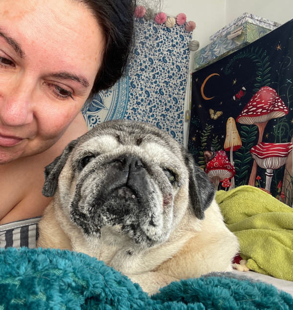 mopsy mopsiki Zazie Miszur Czuczu