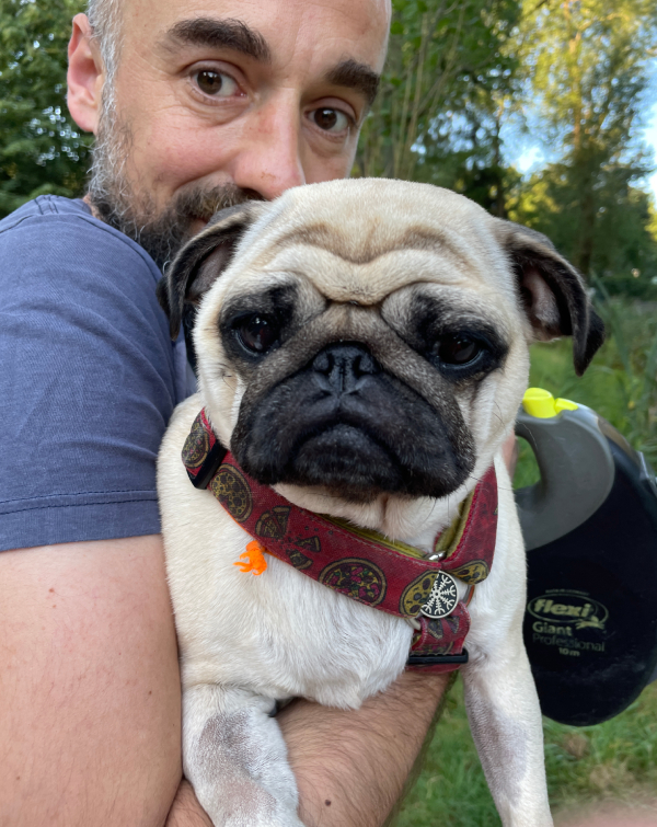 mops mopsik Czuczu Zazie