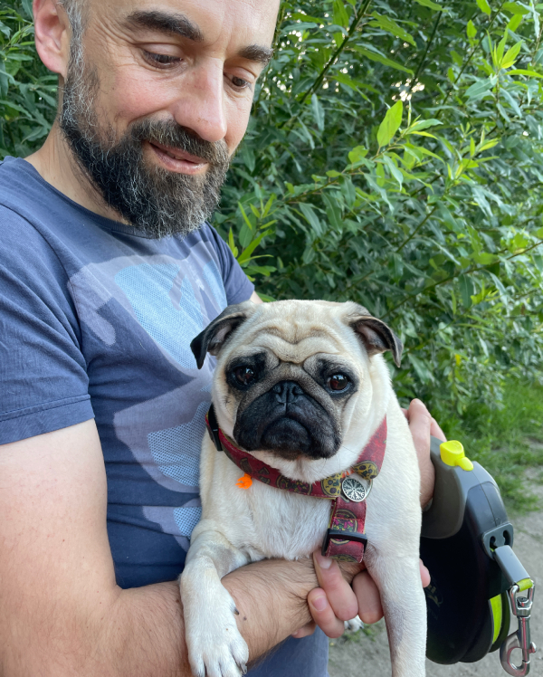 mops mopsik Czuczu Zazie