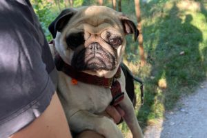 dla Małego Czuczu staramy się zachować spokój