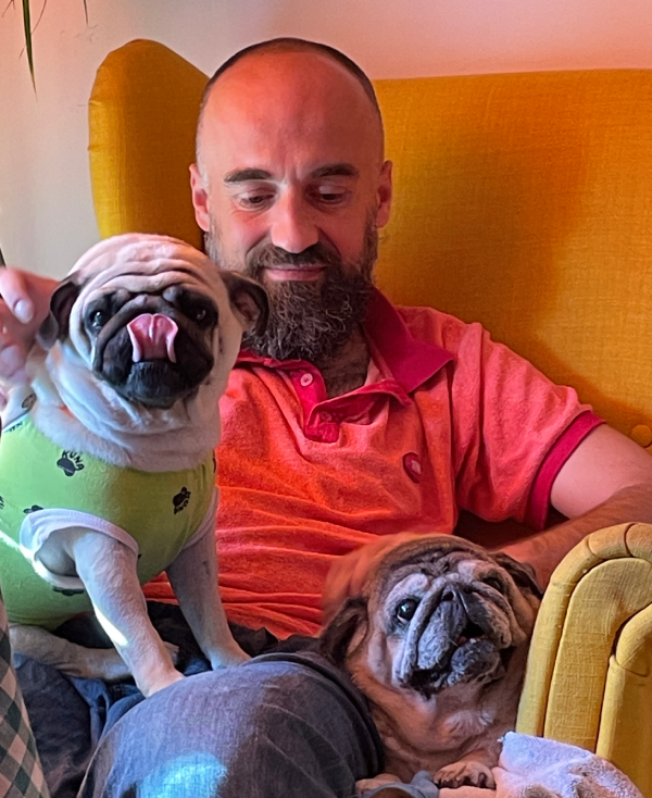 sterylizacja mopsa Czuczu mopsiki Zazie