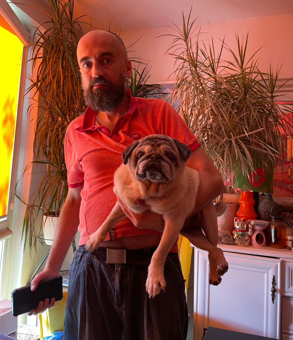 sterylizacja mopsa Czuczu mopsiki Zazie