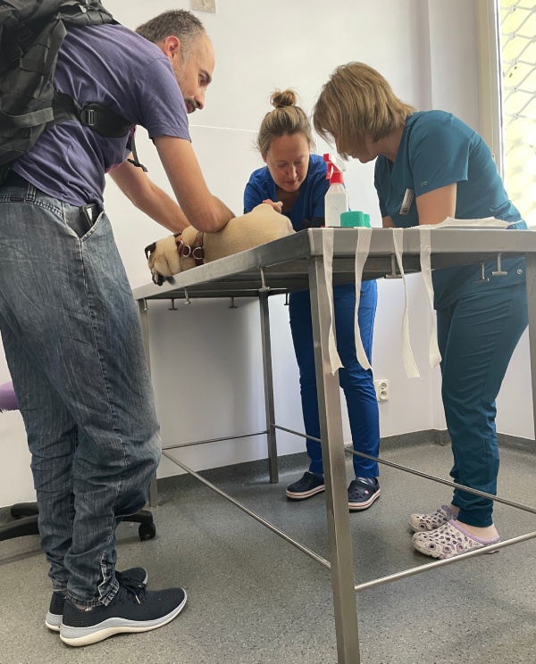 trzecia chemioterapia Czuczu i podanie asparaginazy