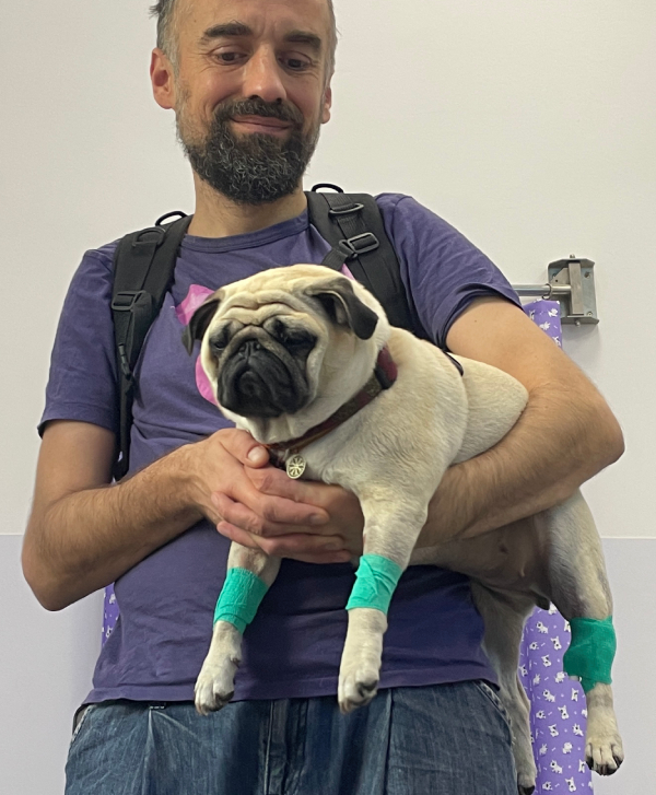 trzecia chemioterapia Czuczu i podanie asparaginazy