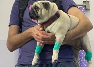 trzecia chemia i podanie asparaginazy